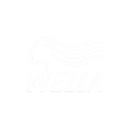 JUMBOmobile roadshow references 77 Wella_logo_WEB_500x